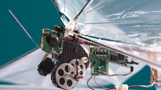 One Day a Tiny Flapping-Wing UAV May Spy on You